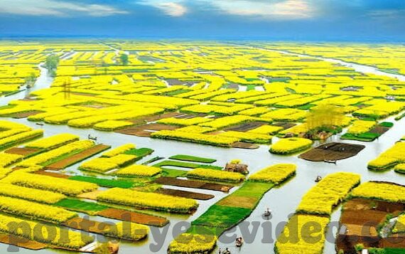 大象传媒国产剧情-国产剧情的深度探索，大象传媒的独特视角